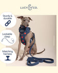 Lucy & Co. - Appley Ever After Corduroy Leash