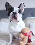 Lambwolf Collective - MISTER GINGERBREAD// Holiday Toy// Enrichment Dog Toy
