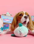 the furryfolks - Fish Express Nosework Toy