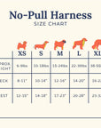 Lucy & Co. - Cute to Boot No-Pull Harness