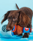 BARK Boozy Doody Koozie Plush Dog Toy