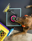 the furryfolks - Vinyl Nosework Toy