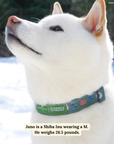 Lucy & Co. - Lucy & Co. x Parks Project Power to the Parks Collar