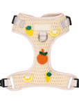 Lucy & Co. - Main Squeeze Crochet No-Pull Harness