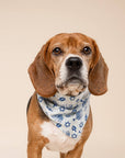 The Paws - Hanukkah Dog Bandana