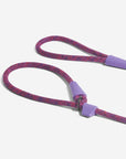 Zee.Dog - Cosmo | Slip-on Leash