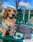 Cocopup London - Dog Walking Bag - Mocha