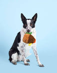 BARK Fowl Play