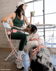 SUNNY TAILS - Perfect Pink 4-in-1 Convertible Hands Free Cloud Dog Leash: Wide