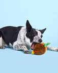 BARK Fowl Play