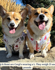 Lucy & Co. - The Jingle Bells Reversible Teddy Vest