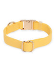 Sunny Tails Dandelion Yellow Waterproof Dog Collar