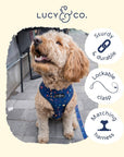 Lucy & Co. - Space Doodle Leash: Large