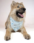 Dog Bandana Co Blue Birthday/Gotcha Day Reversible Bandana