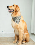 Dog Bandana Co. Duck & Camo Reversible Dog Bandana