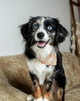 Dog Bandana Co. Fall Crochet Reversible Dog Bandana