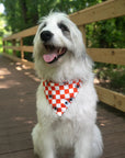Dog Bandana Co. Halloween Plaid Reversible Dog Bandana