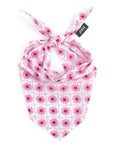 The Paws - Poppy Dog Bandana
