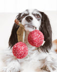 Lambwolf Collective - CHERRY POP//ENRICHMENT DOG TOY