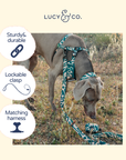 Lucy & Co. - Lucy & Co. x Parks Project Geyser Leash