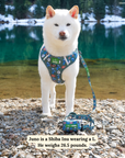Lucy & Co. - Lucy & Co. x Parks Project Power to the Parks No-Pull Harness