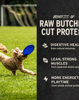 Vital Essentials Freeze-Dried Turkey Giblets