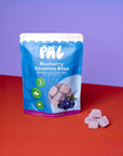 Pal Treat Co - Blueberry Smoothie