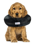 Comfurt Collar Stuffed Not Inflatable Dog & Cat Recovery Collar