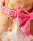 The Foggy Dog - Heart of Gold Collar Charm: Charm Only