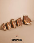 CANOPHERA LLC - Dog Chew Made of Briar Root.: L