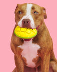 BARK Super Chewer Go Mango Dog Chew Toy L