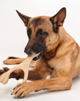 BetterBone Natural Dog Chews - VENISON Medium Density