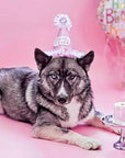 Dog Cake Bakery LLC - Dog Cake | Dog Birthday Cake | Birthday | Drip Cake | Tan