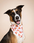 The Paws - Pizza Dog Bandana