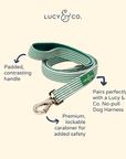 Lucy & Co. - Tomato, Tomahto Leash