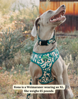 Lucy & Co. - Lucy & Co. x Parks Project Geyser No-Pull Harness