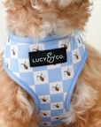 Lucy & Co. - Bumbling Around Reversible Harness