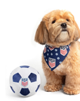 Floofball - ChewSA Plush Soccer Ball: Small
