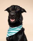 The Paws - Gili Dog Bandana