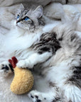 Lambwolf Collective - KITTY TEMPURA: Default Title