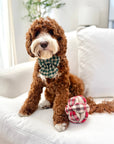 Lambwolf Collective - FLANNEL MONTI // ENRICHMENT DOG TOY // HOLIDAY