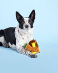 BARK Fowl Play