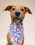 The Paws - Pop Dog Bandana
