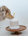 Lambwolf Collective - Birthday Cake // Burrow Toy