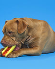 BARK Super Chewer Treat Meat Hot Dog Dog Chew Toy M