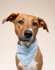 The Paws - Summer Dog Bandana
