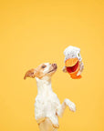 BARK Big Bill & Beak-A-Boo Fish