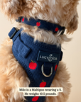 Lucy & Co. - Appley Ever After Corduroy Collar
