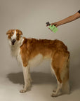 Welltayl - Dog Skin + Coat Spray (Cat-Safe)