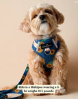 Lucy & Co. - Sunflower Power Denim No-Pull Harness